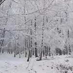 Korenny Vrch Pezinska Baba