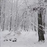 Homestay Korenny Vrch Pezinska Baba