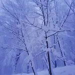 Korenny Vrch Pezinska Baba Homestay Pezinok