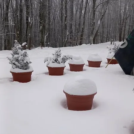 Korenny Vrch Pezinska Baba Privatunterkunft Pezinok