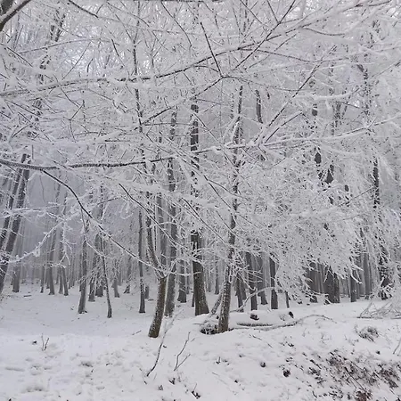 Korenny Vrch Pezinska Baba