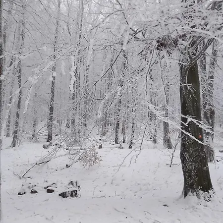 Privatunterkunft Korenny Vrch Pezinska Baba