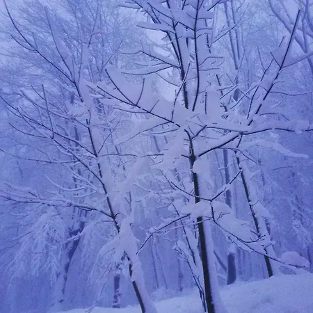 Korenny Vrch Pezinska Baba Accommodatie bij particulieren Pezinok