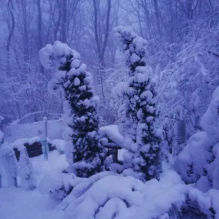 Korenny Vrch Pezinska Baba Bazin